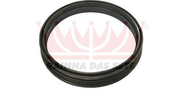 GUARNICAO FLANGE BOMBA COMB ETE5076 (8642020)