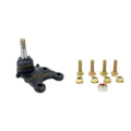 PIVO SUSPENSAO 503320